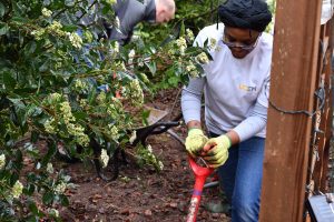 Two staff members digging holes