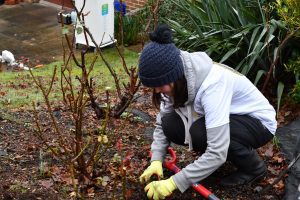 Staff member planting 