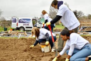 Staff digging the allotment over