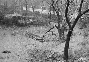 Destruction at Lincoln's Inn Fields after the Blitz