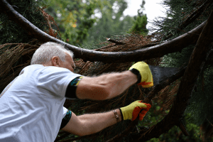 A volunteer gets stuck into chopping down some branches