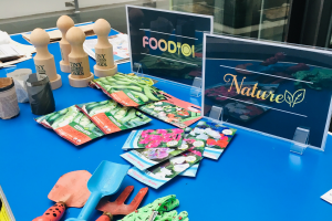 A selection of seeds and beans on the UCEM stand at the Science Fair