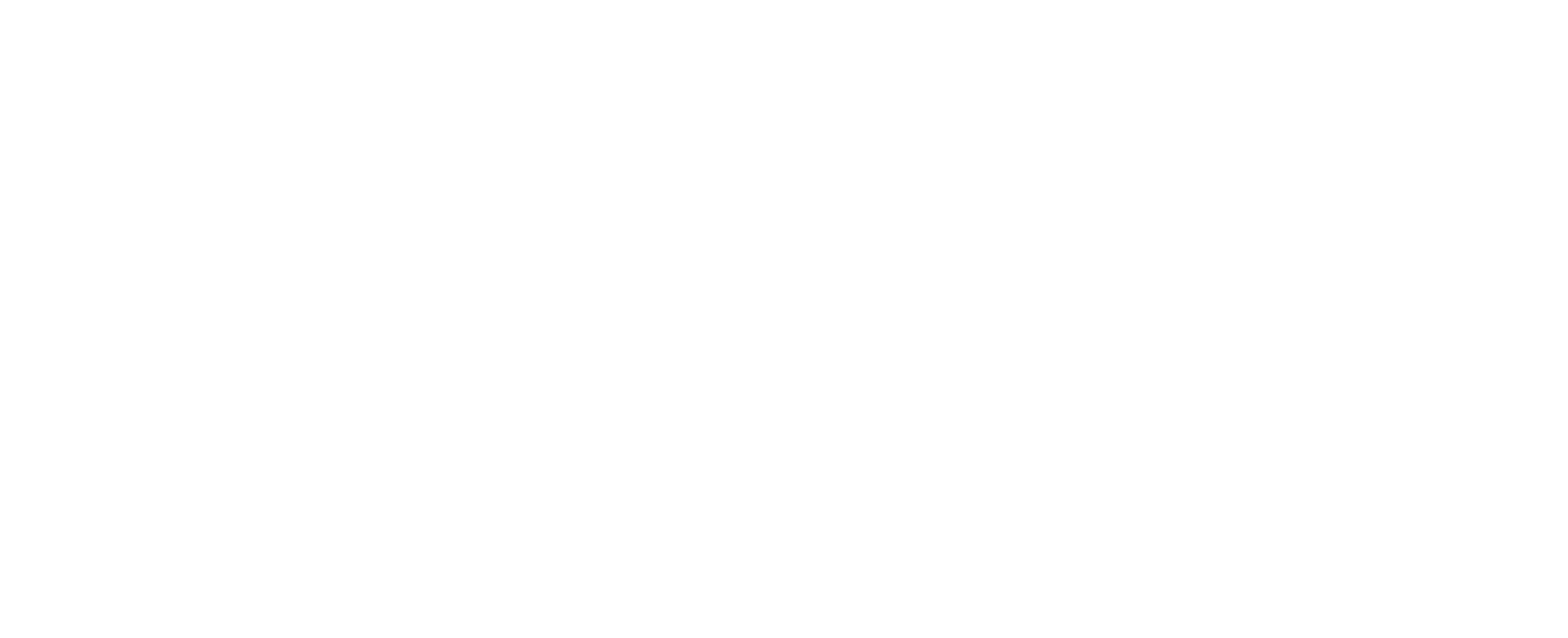 Diverse City Surveyors logo