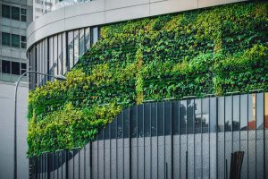 Introducing: Our new Student Officers for Sustainability