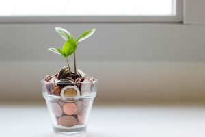 Living sustainably without breaking the bank